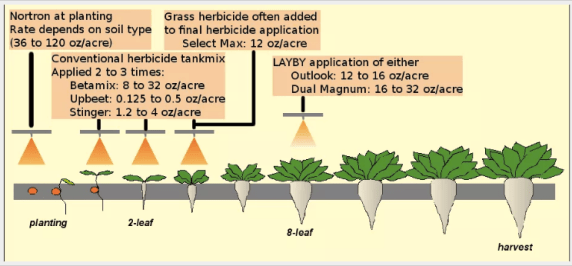 screen-shot-2016-07-03-at-21-22-29