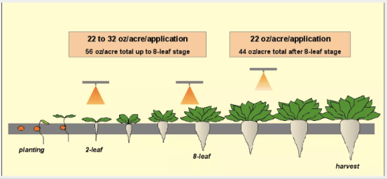 screen-shot-2016-07-03-at-21-22-46