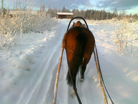 338017_3052453035055_1824481678_o