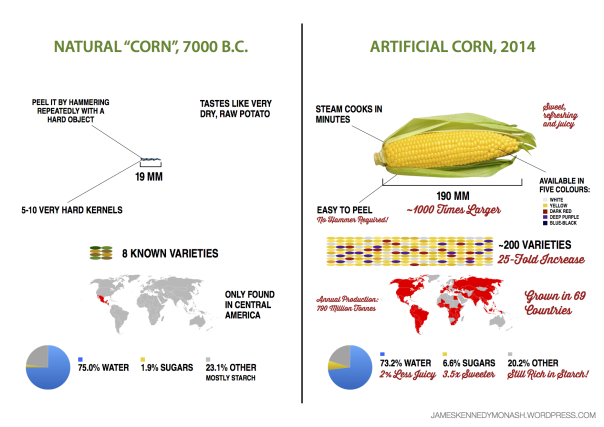 artificial-natural-corn3