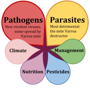 Bee health simple copy